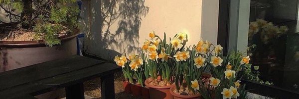 teraselune Profile Banner