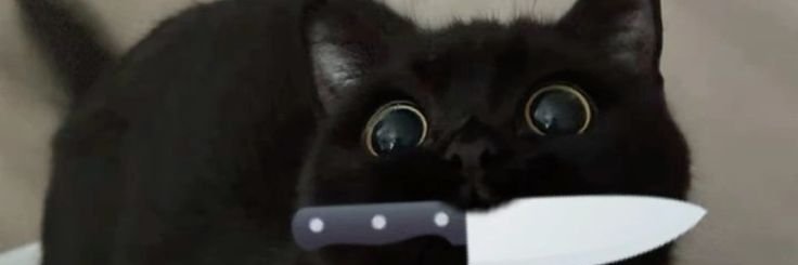 _Katsu_13_ banner