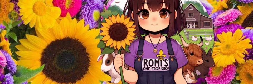 RoMisOneStop's profile banner image