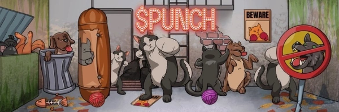 PUNCH CAT banner