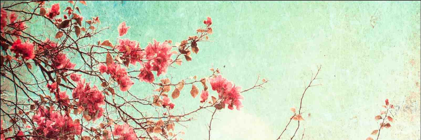 eugenia_pm's profile banner image