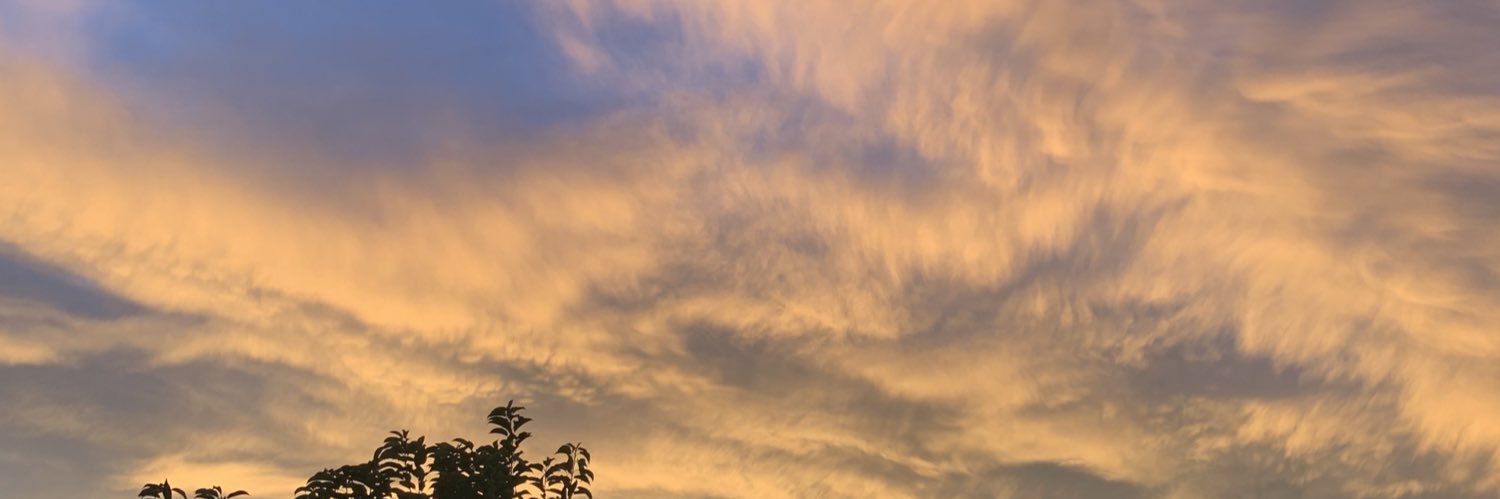 merycandace's profile banner image
