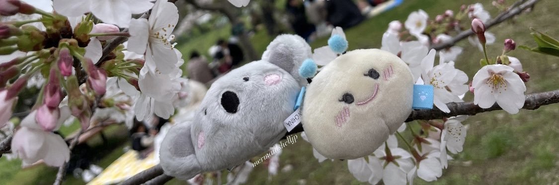 Mermaidshelljp 🪸 banner