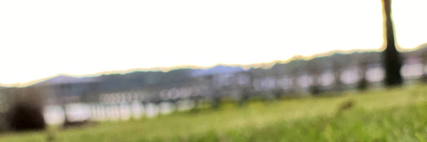 MySouthern_Mind's profile banner image