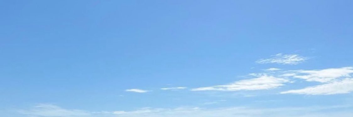 LizNaudin's profile banner image
