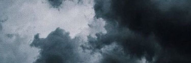 — Meadows 𐂂 banner