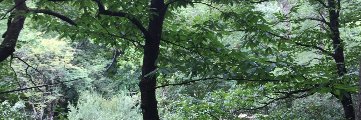 fbaveystock's profile banner image