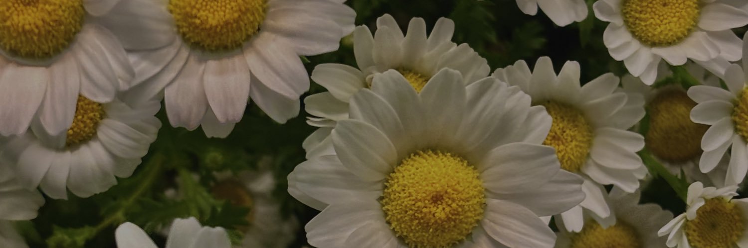 b11ppp's profile banner image