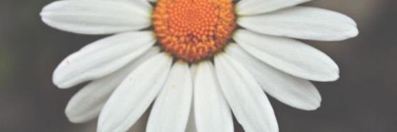 bex1515's profile banner image