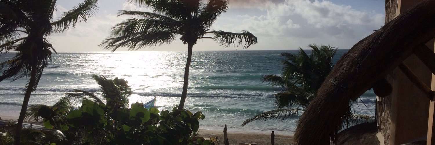 George Chahrouri banner