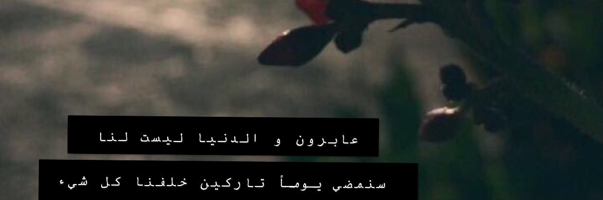 1413Hajer's profile banner image