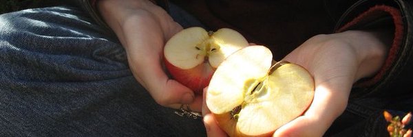 Unistellarz Profile Banner