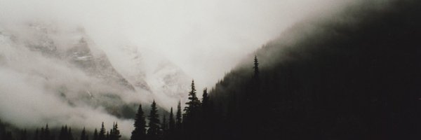 gabefoley Profile Banner