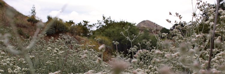 sotelo74's profile banner image