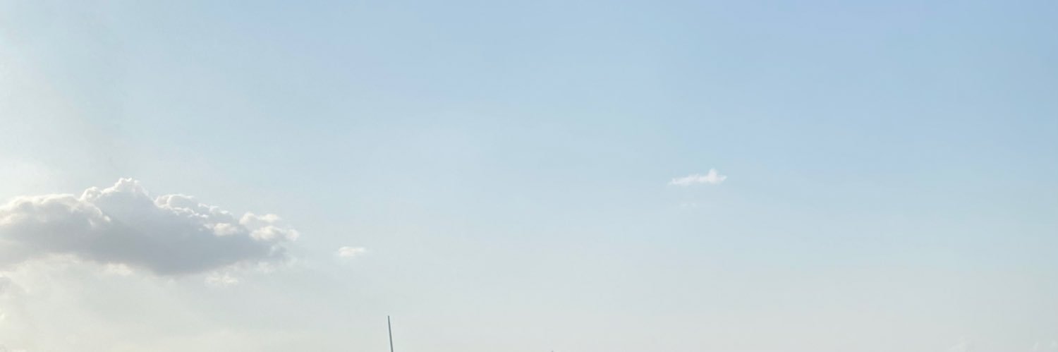 Papilo__01's profile banner image