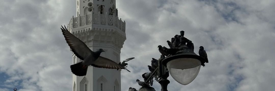أنَاة .'s banner