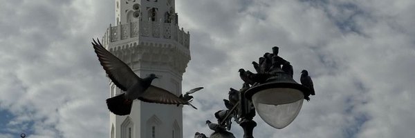 eiicss Profile Banner