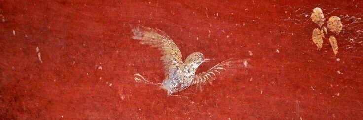 louche à vinvin délaissée banner