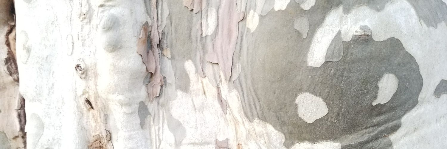 jagmeetmac's profile banner image