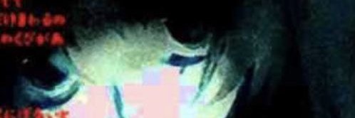 Not Vibri_P (PRO ED/SH DNI OMG) banner