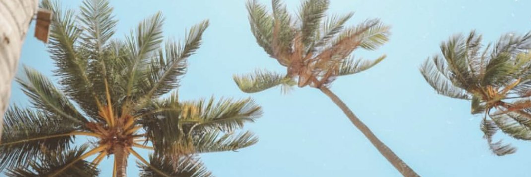 mikamontero's profile banner image