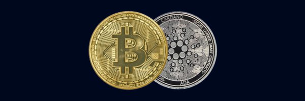 portocripto Profile Banner