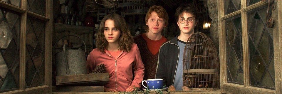 Hermione J. Granger (Parody) banner