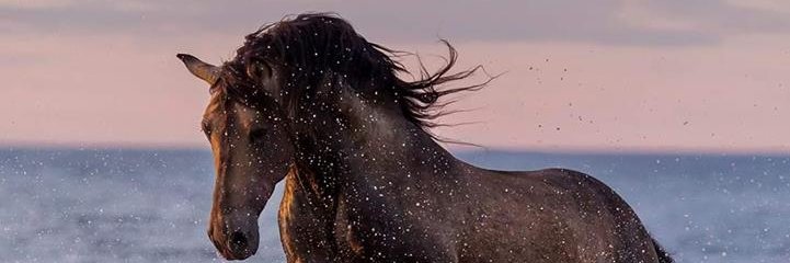 eyad1035273's profile banner image