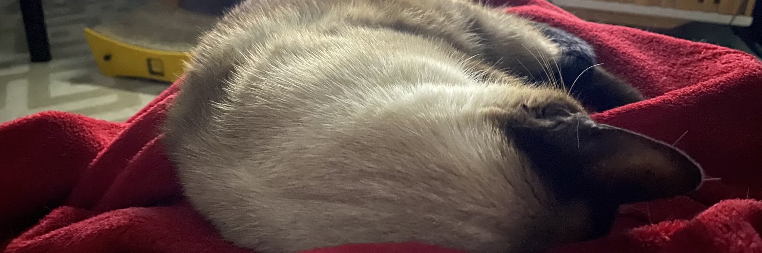 dudu banner