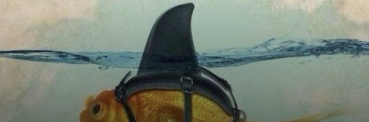 Lemus19_'s profile banner image