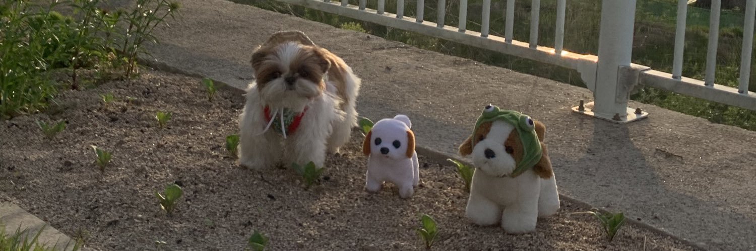 네모시츄 앵두짱 banner