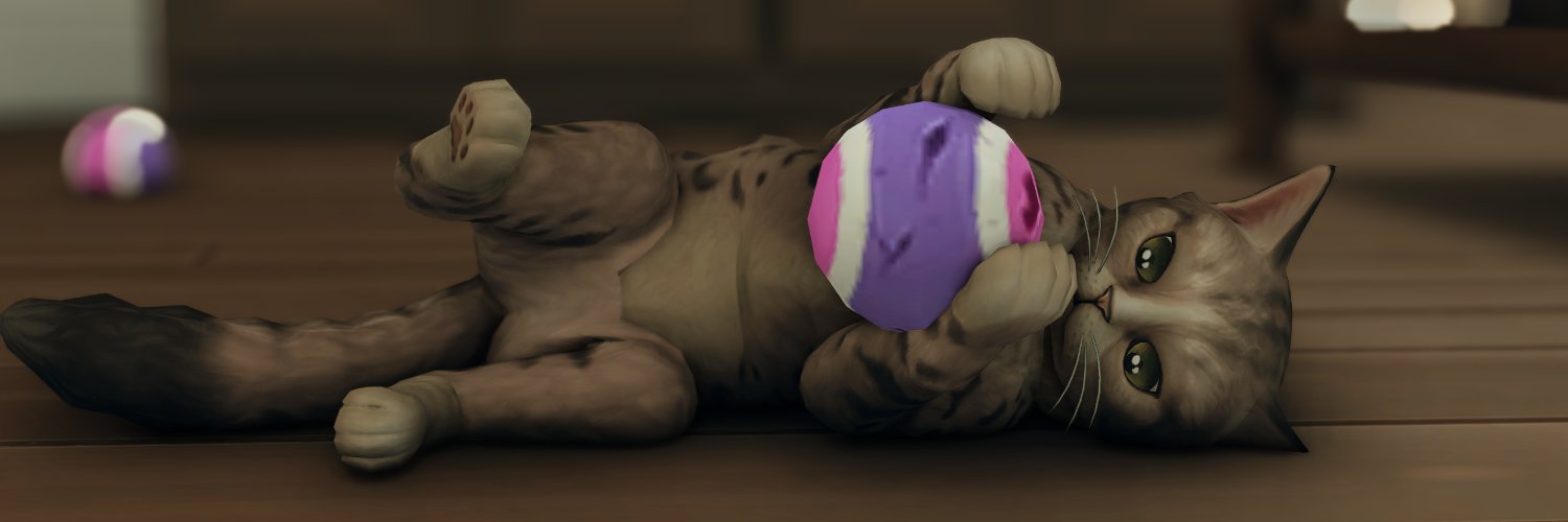lily's banner