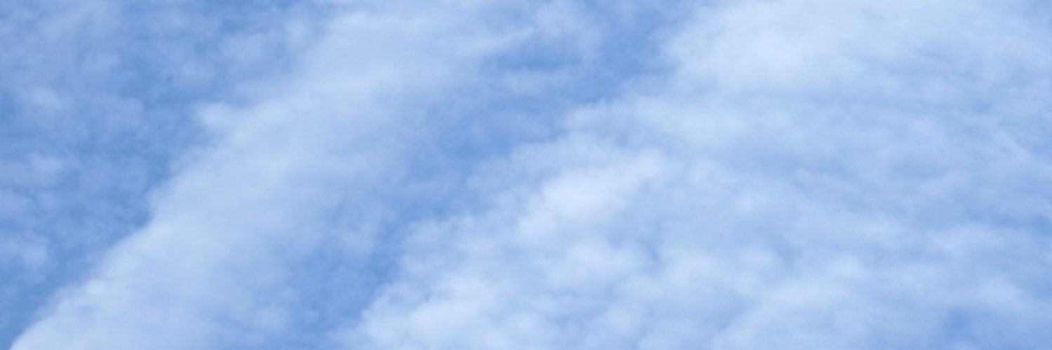 mybluezine's profile banner image