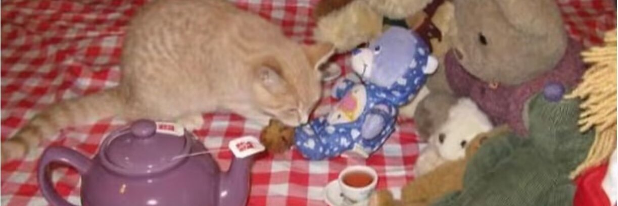 异常気象_ banner