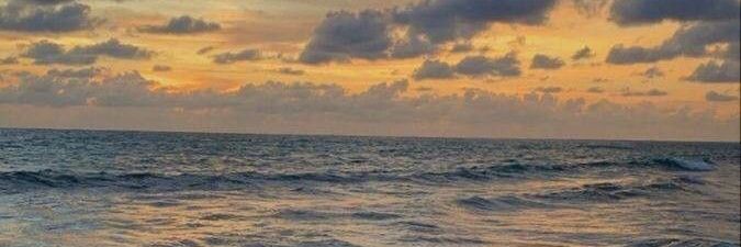jastip disini banner