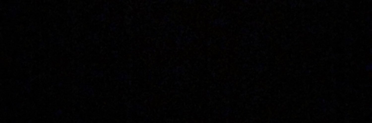 travisloo's profile banner image