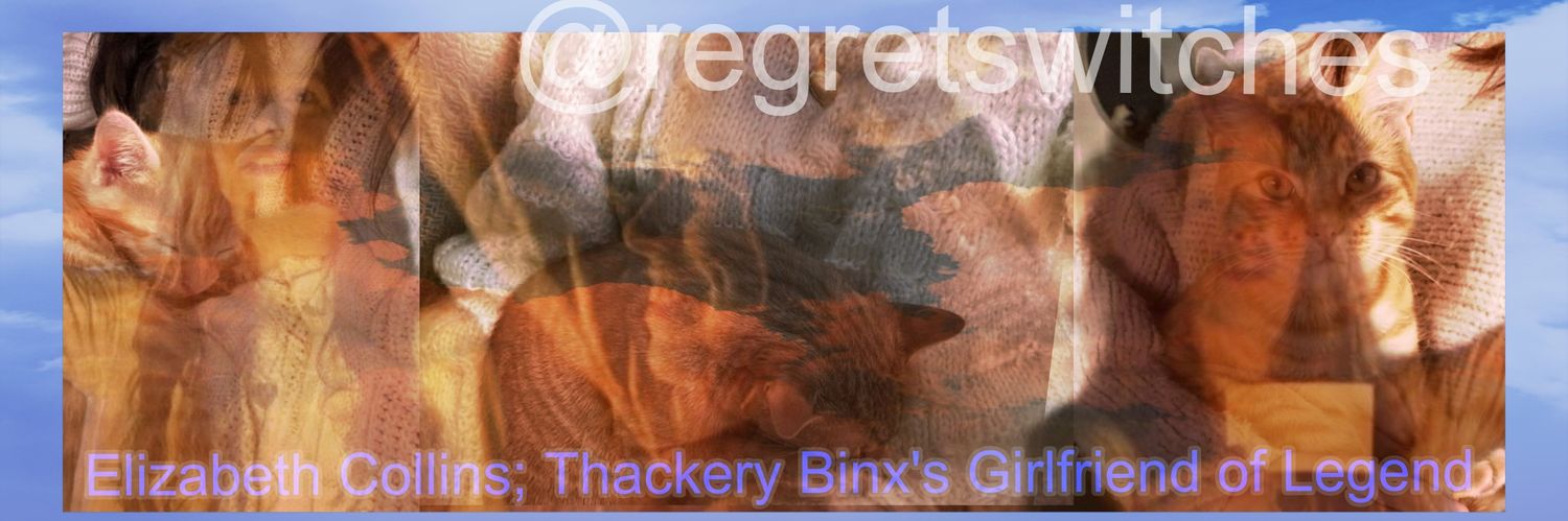 Eliza Collins banner