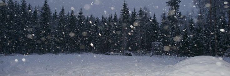 ݁ ˖ Ი𐑼 Scotch! • #1 Lo luvr banner