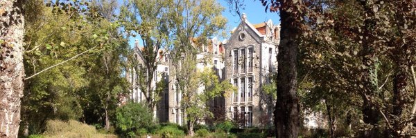 pcaetano Profile Banner