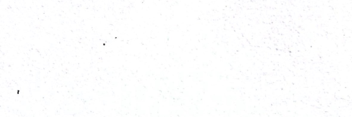 🍤 banner
