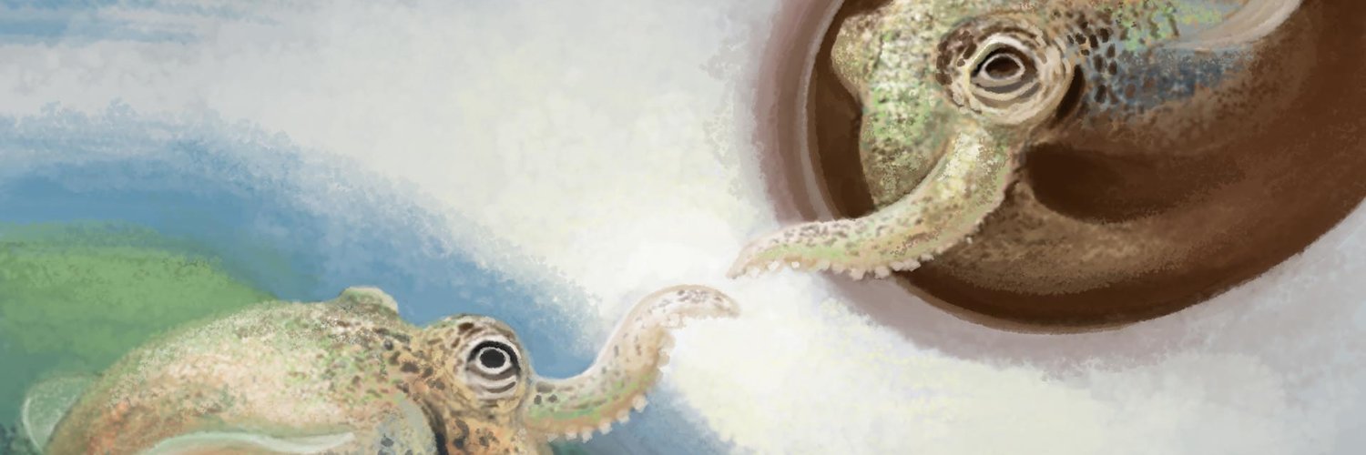 franzanth's profile banner image