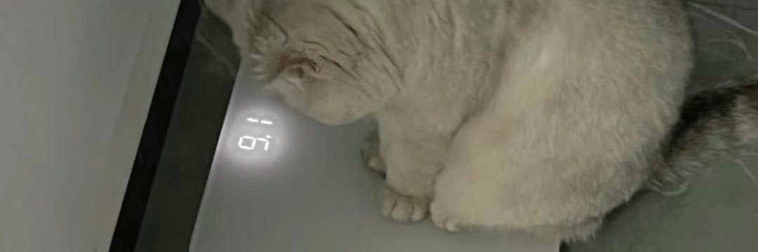 美人（みと） banner