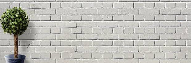Sorrythiswall's profile banner image