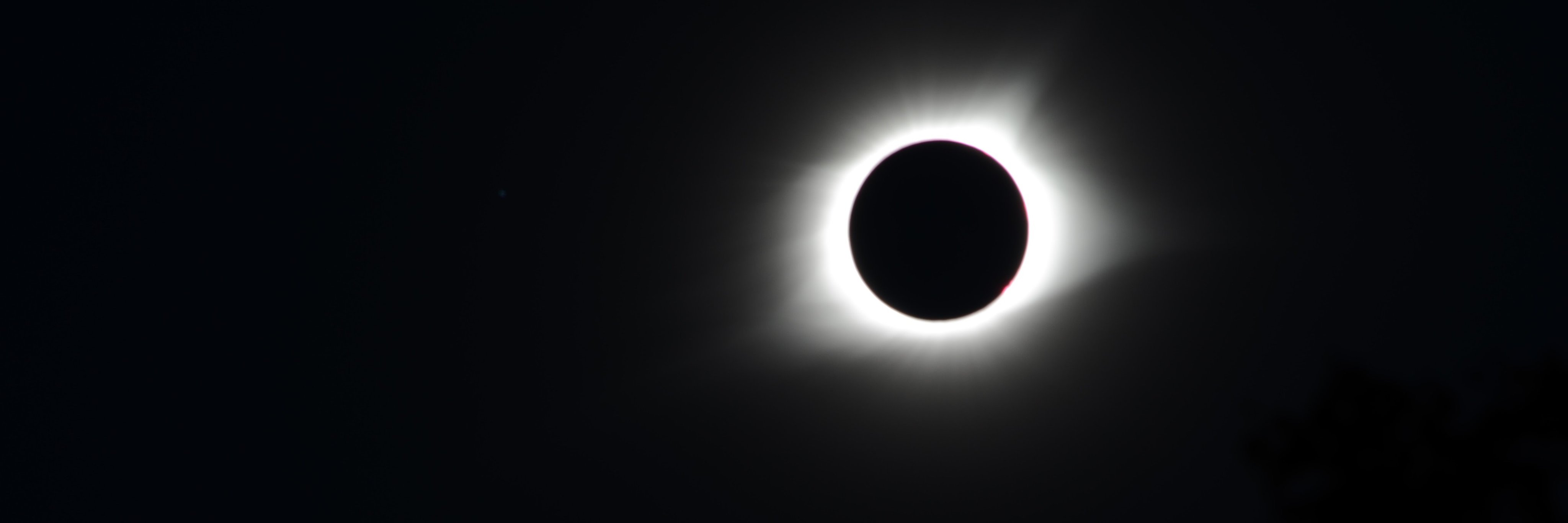 jennlupien's profile banner image