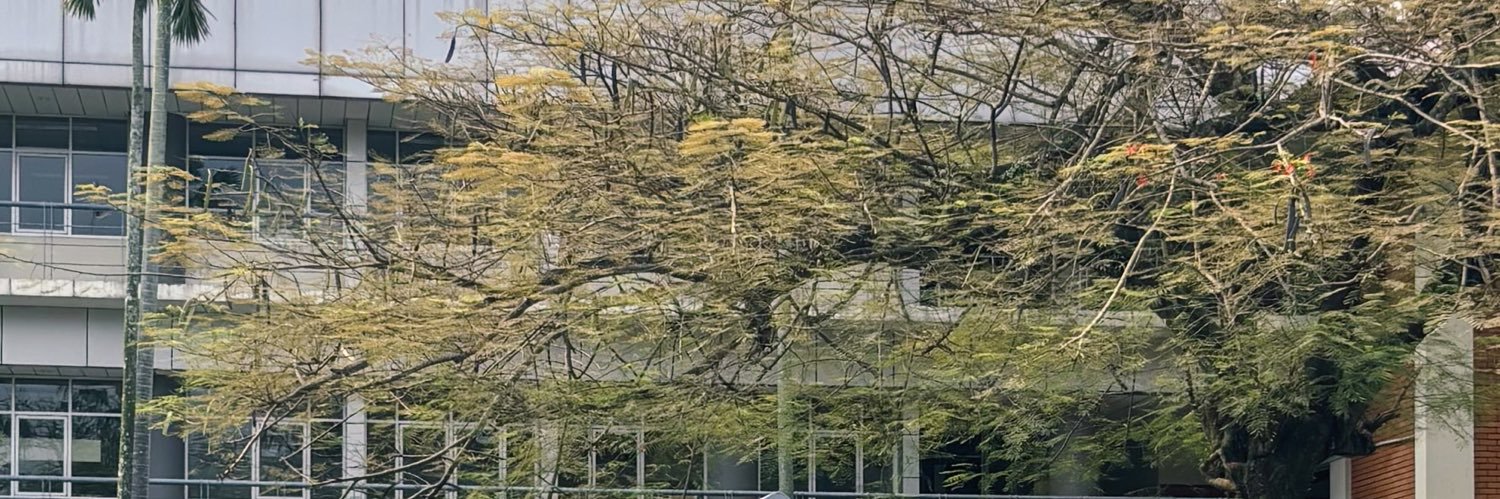 n ✧ banner
