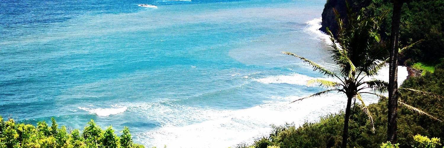 Hayylies's profile banner image