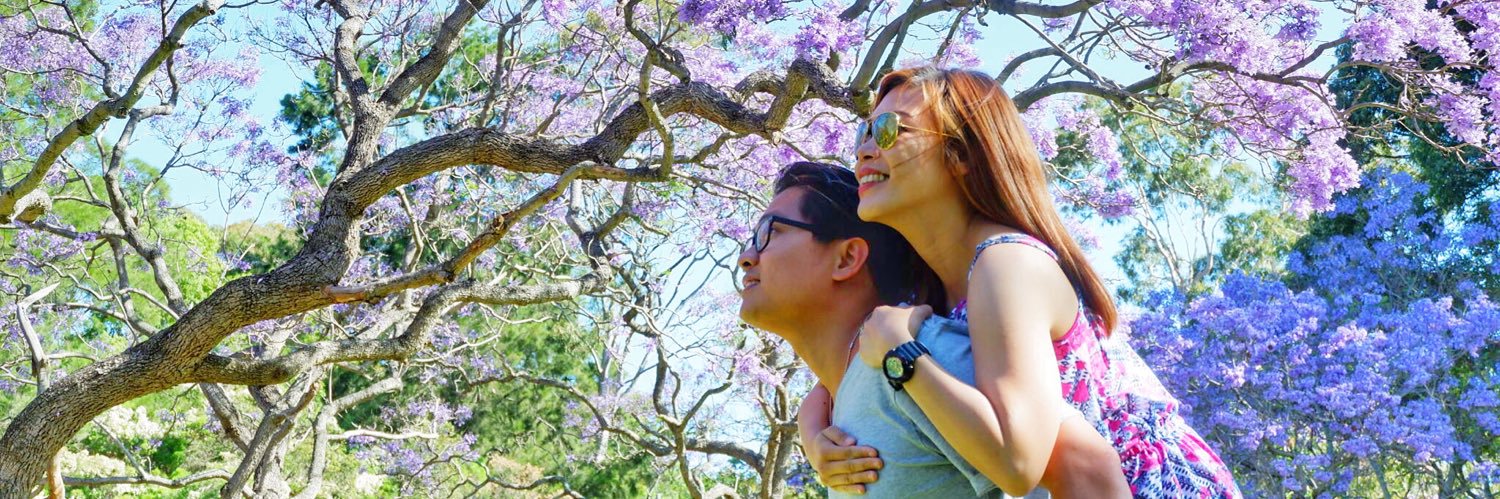 mimscunanan's profile banner image