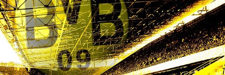 dfw.favour banner