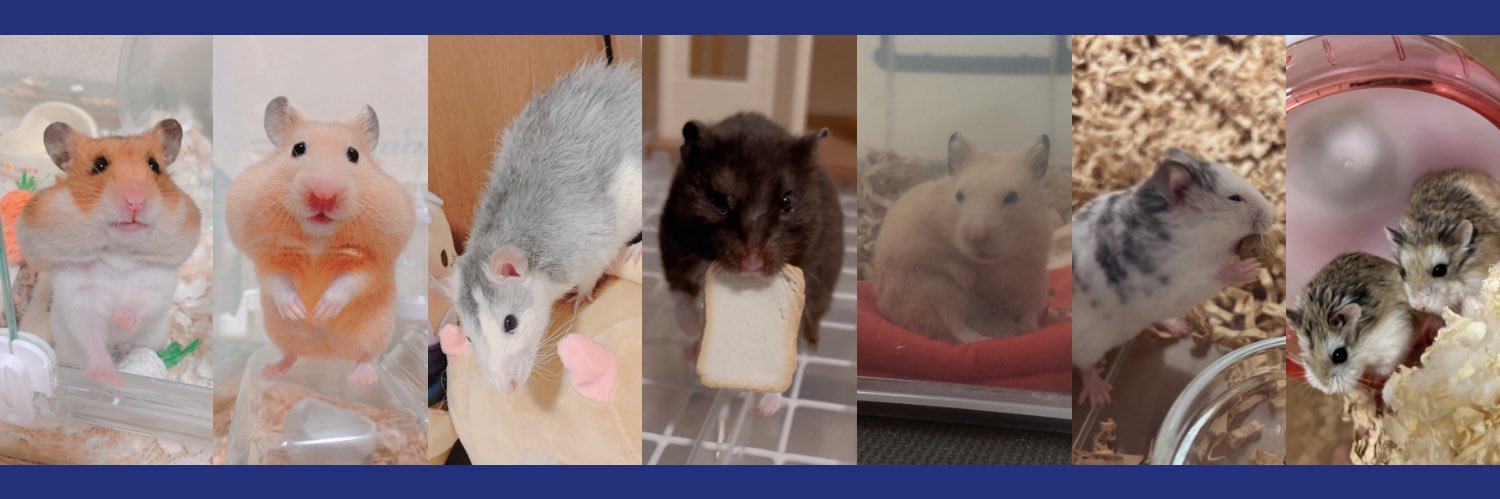 たう🐹にじそ11【西1ホール と-47】 banner