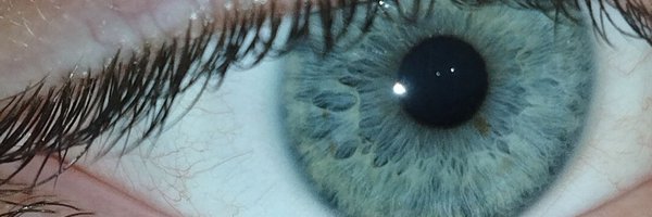 i_fel_down Profile Banner